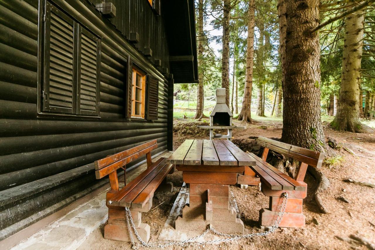 Chalet Liza & Rozi Zgornja Loznica Exterior foto