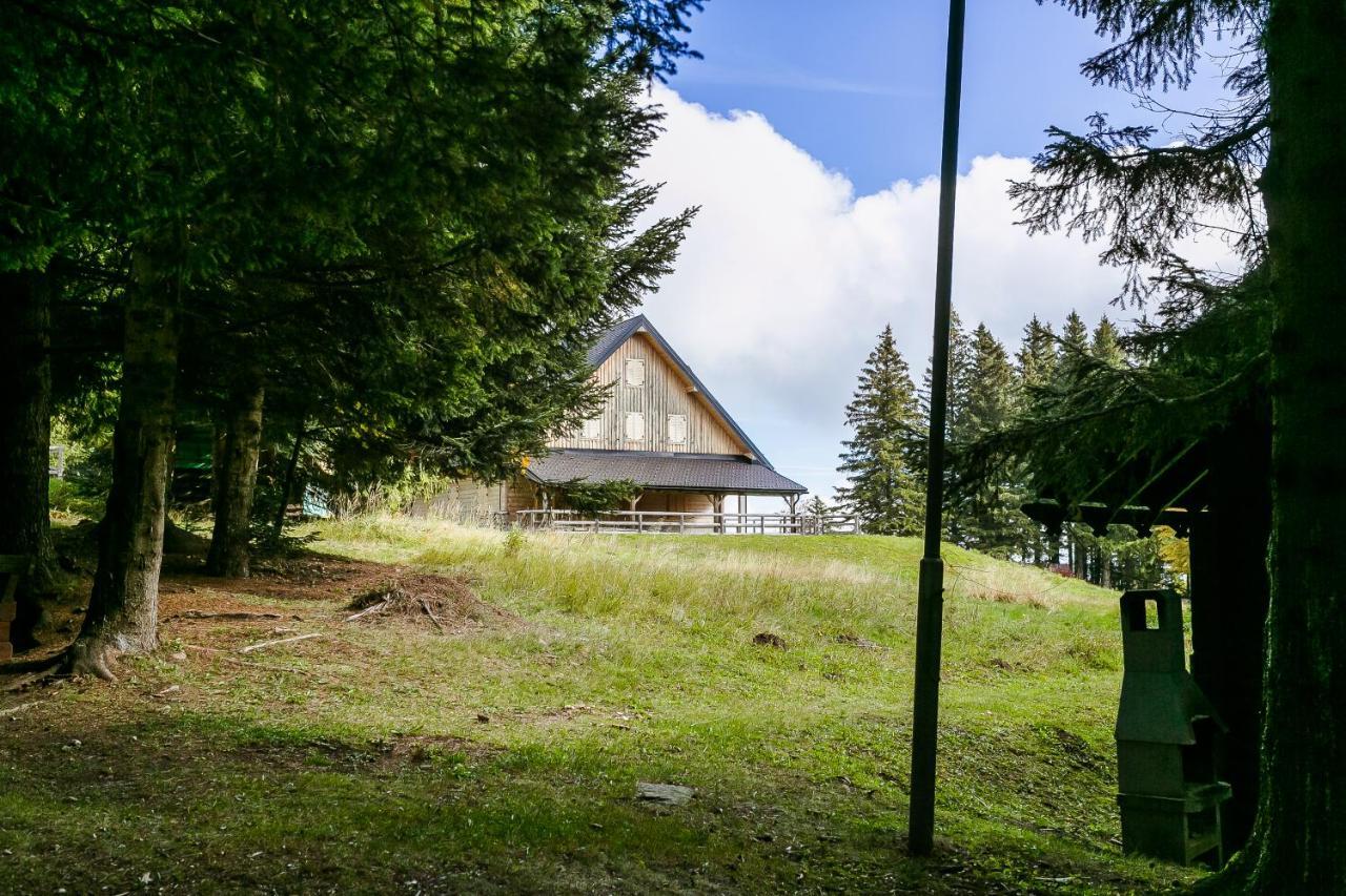 Chalet Liza & Rozi Zgornja Loznica Exterior foto