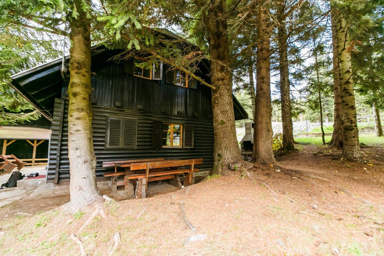 Chalet Liza & Rozi Zgornja Loznica Exterior foto